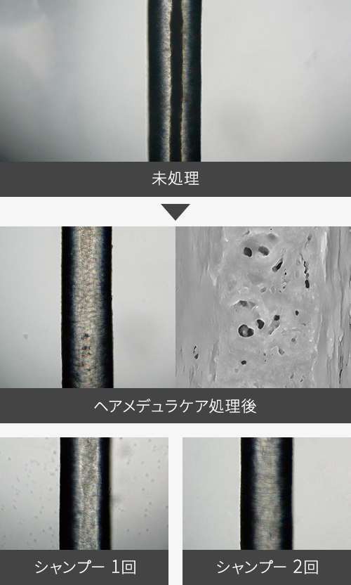 未処理→ヘアメデュラケア処理後→シャンプー1回→シャンプー28回