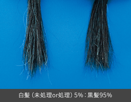 白髪(未処理or処理)5%:黒髪95%