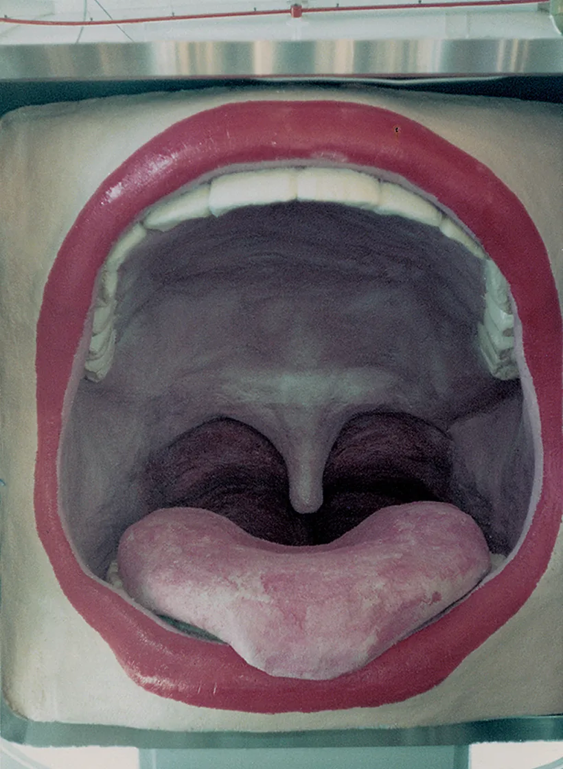 横尾忠則さんが制作したオブジェの写真