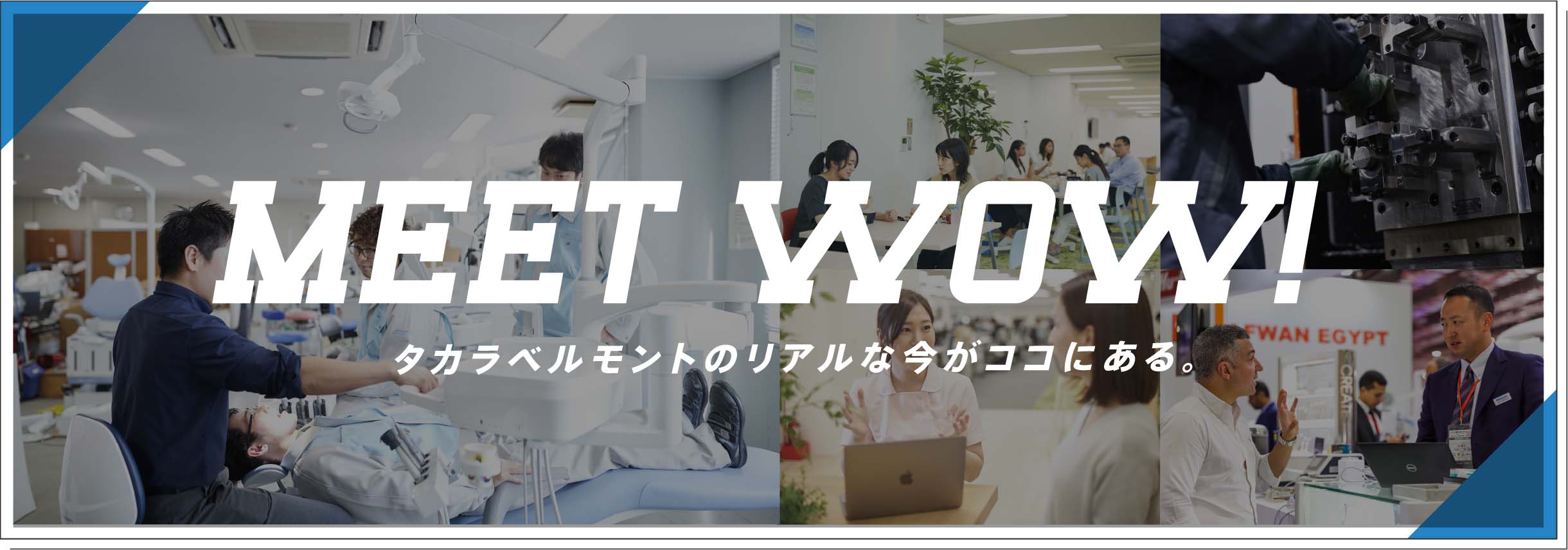 MEET WOW!